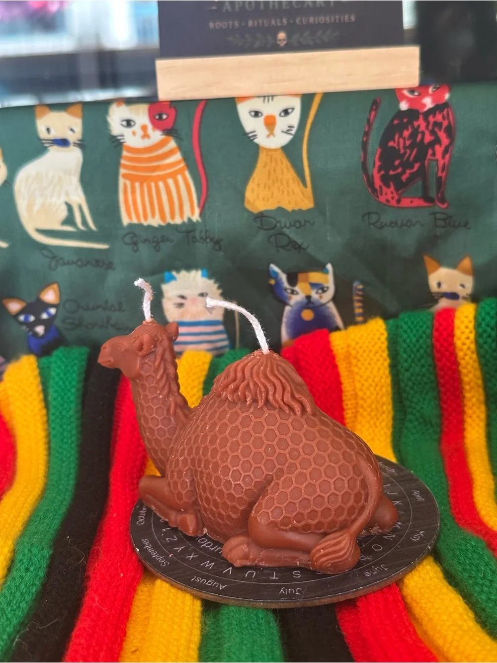 Camel Candle – Double Wick
